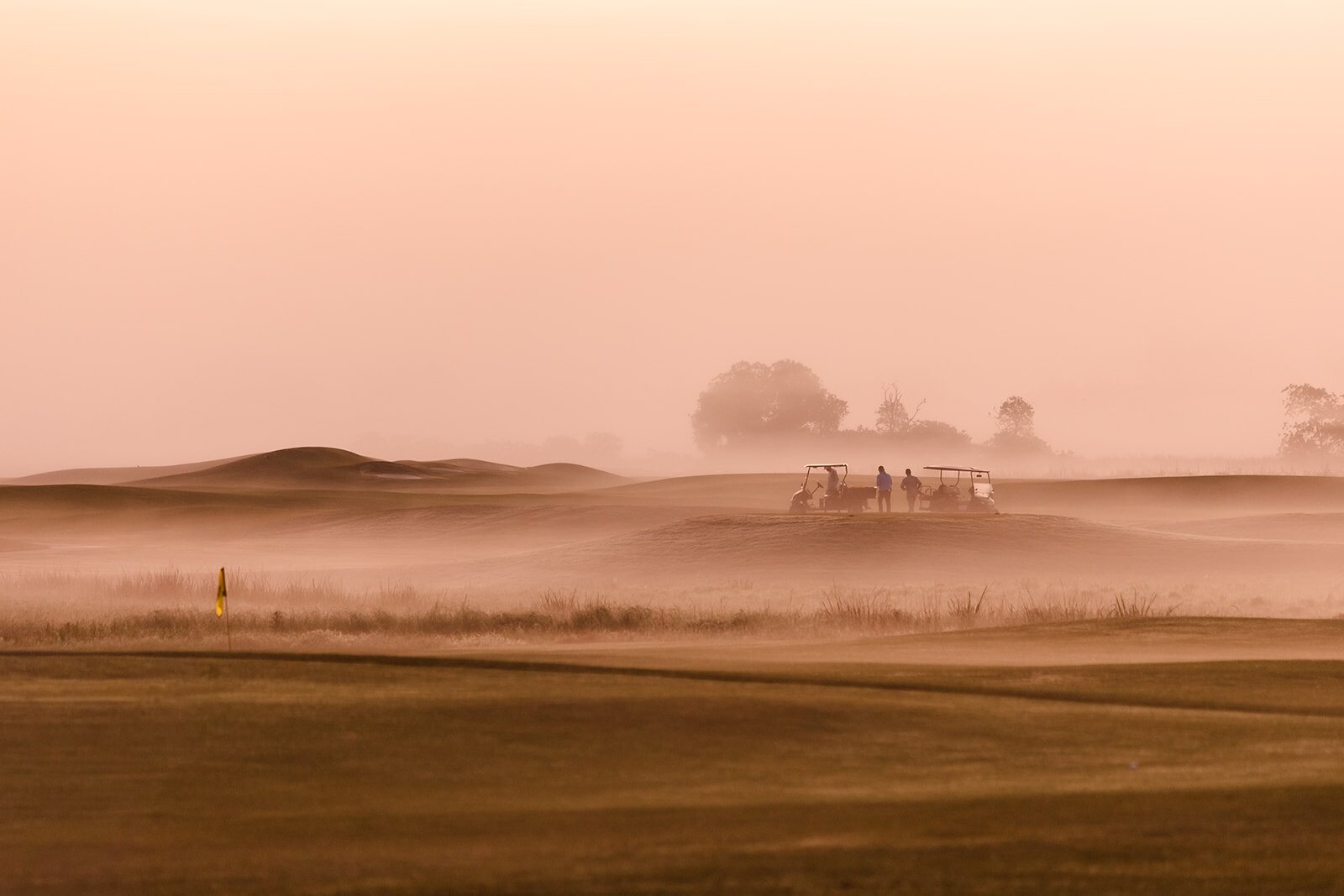 Spanish moss and fog around The Ford Field and River Club at sunrise